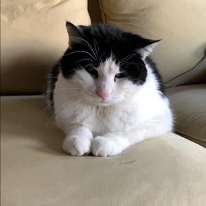 Meet your Posher, Julie